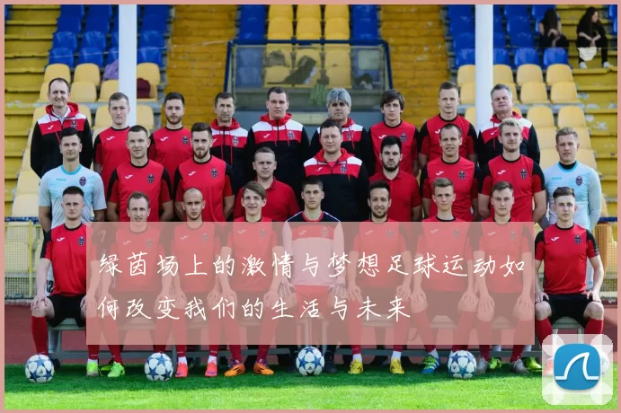 绿茵场上的激情与梦想足球运动如何改变我们的生活与未来
